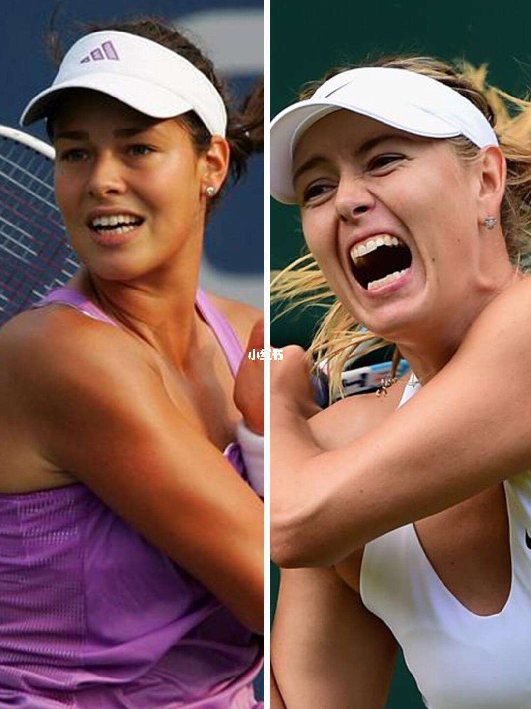 包含莎拉波娃连续七场比赛得分超过回归赛场，美国队挑战极限！的词条-爱游戏中国官网